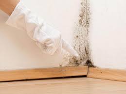 Best Attic Mold Removal  in Clifton Springs, NY